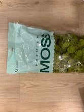 Load image into Gallery viewer, Bag of moss - small
